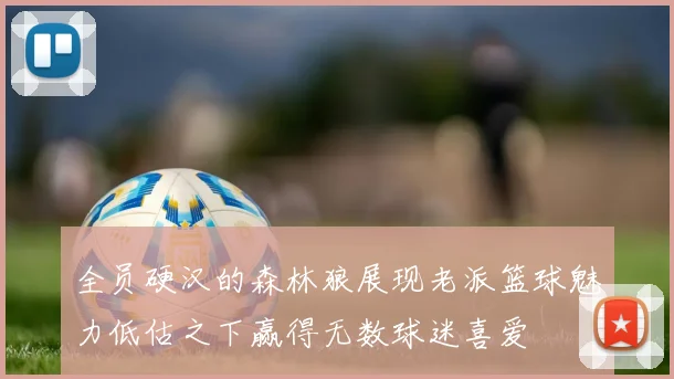 全员硬汉的森林狼展现老派篮球魅力低估之下赢得无数球迷喜爱