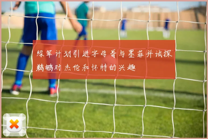 绿军计划引进字母哥与墨菲并试探鹈鹕对杰伦和怀特的兴趣
