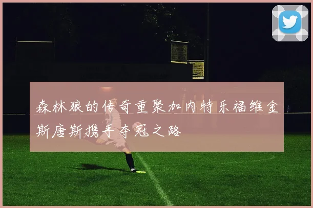 森林狼的传奇重聚加内特乐福维金斯唐斯携手夺冠之路